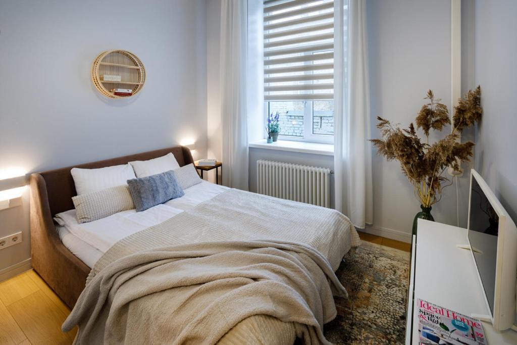 Kalnina Street Studio Apartment Ρίγα Εξωτερικό φωτογραφία